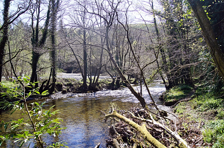 Afon Dulas