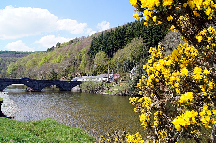 Pont ar Dyfi