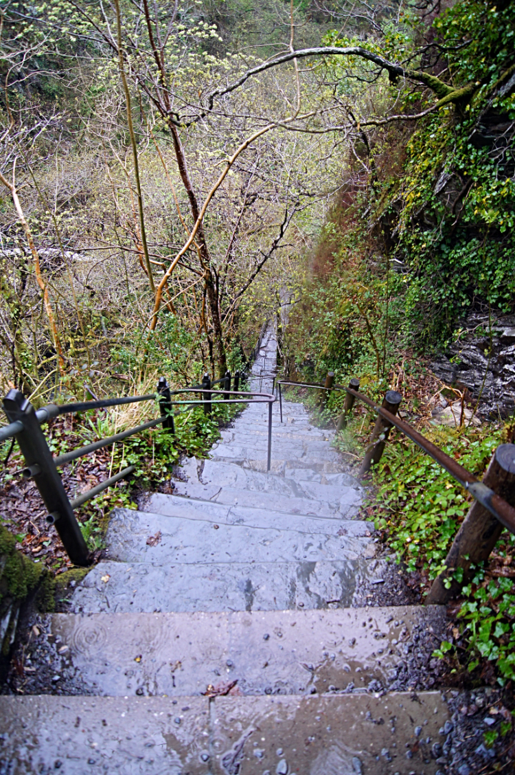 The scary steps of Devil's Bridge Gorge