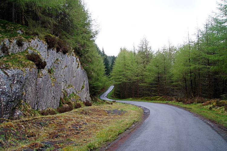 The road through Tywi Forest