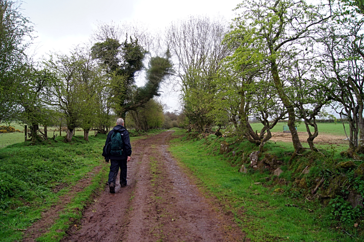 Daudraeth Illtyd Nature Reserve