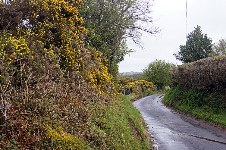 The road to LLanfrynach
