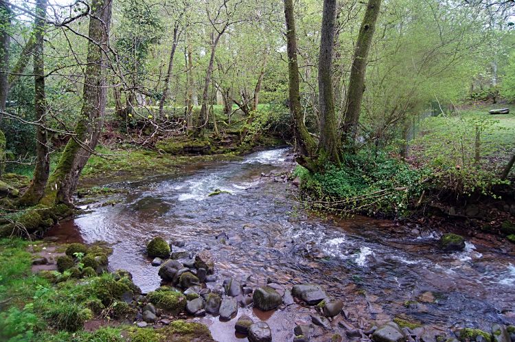 Nant Menasgin