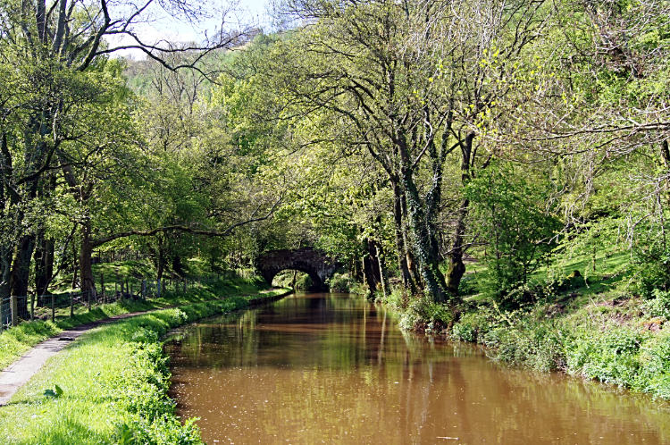 A lovely day for a walk