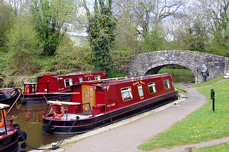 Near Llangynidr Locks