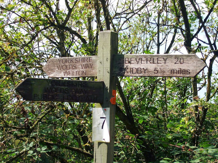 Wolds Way signpost