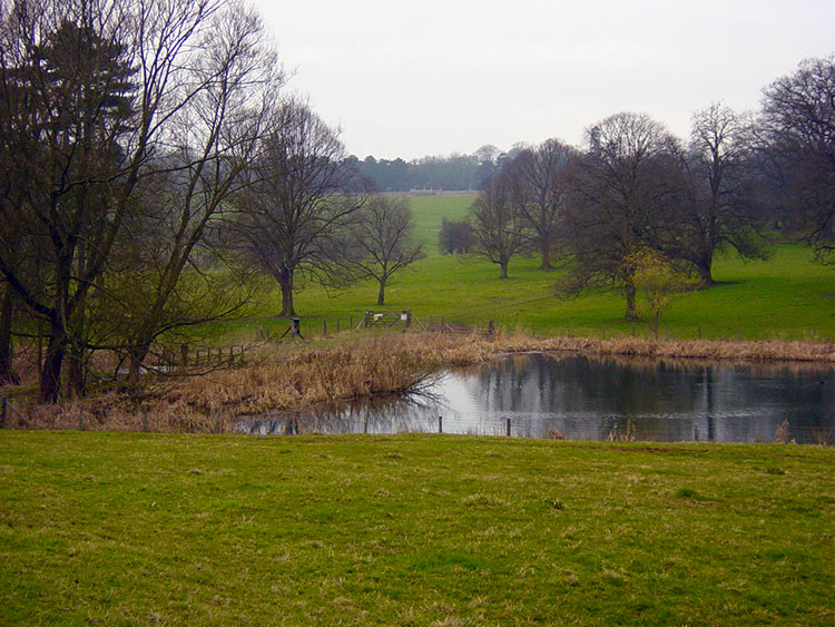 The Lake in Londesborough Park