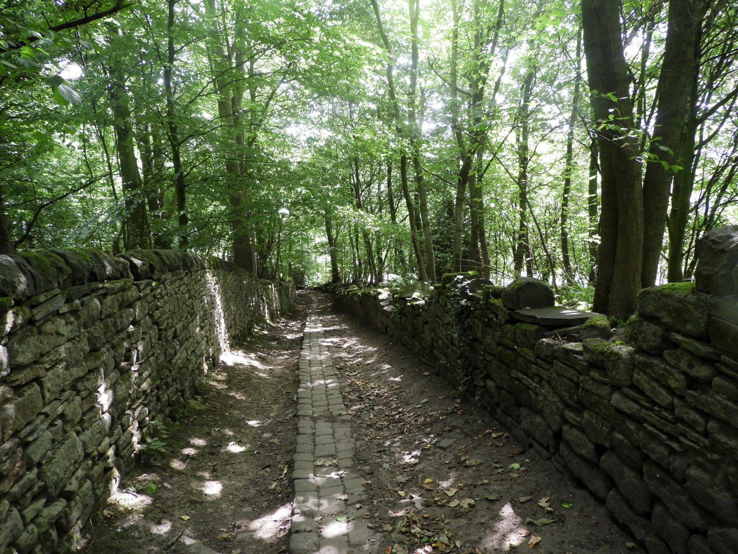 The path leading up to Shipley Glen