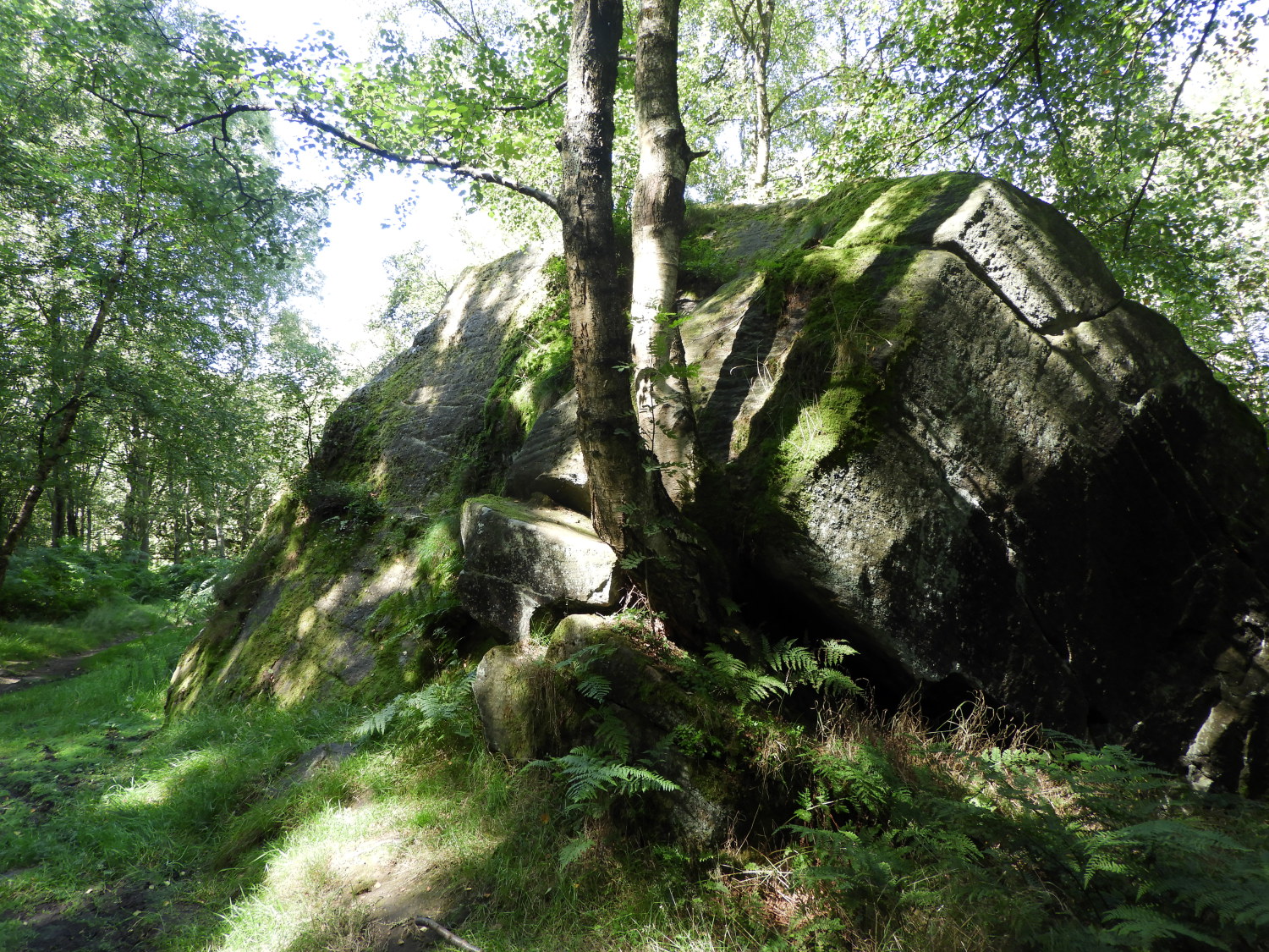 Granite outcrop in Guisecliff Wood