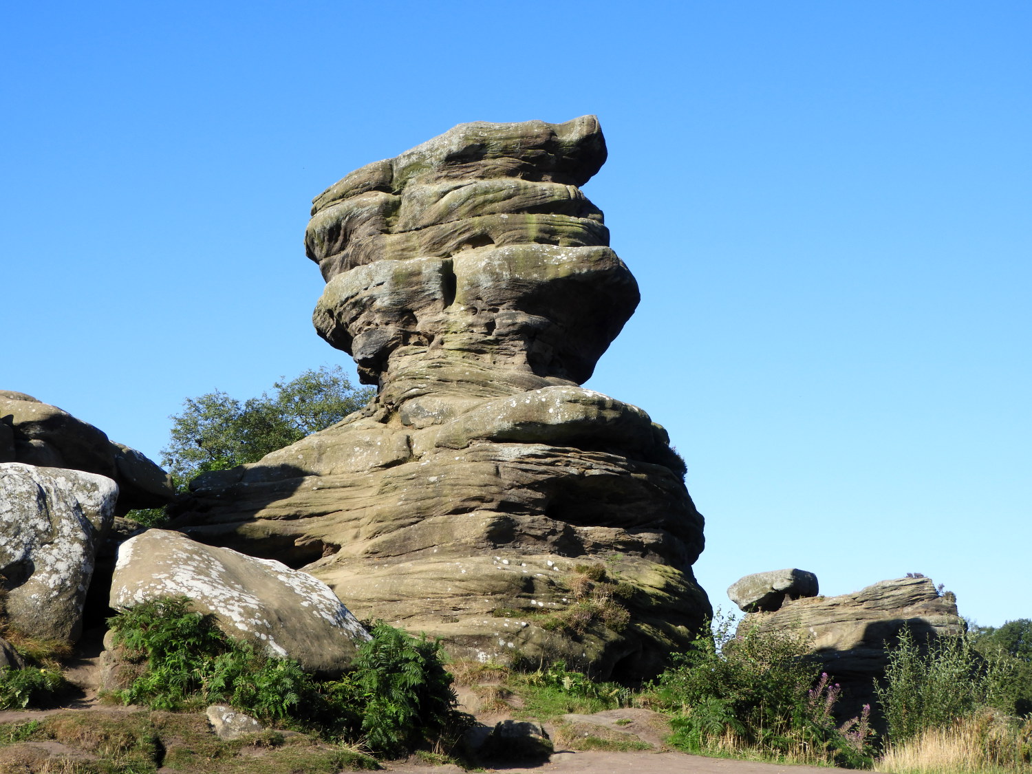 A thoughtful outcrop at Brimham Rocks
