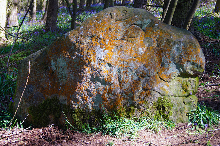 Rock carving in Riffa Wood
