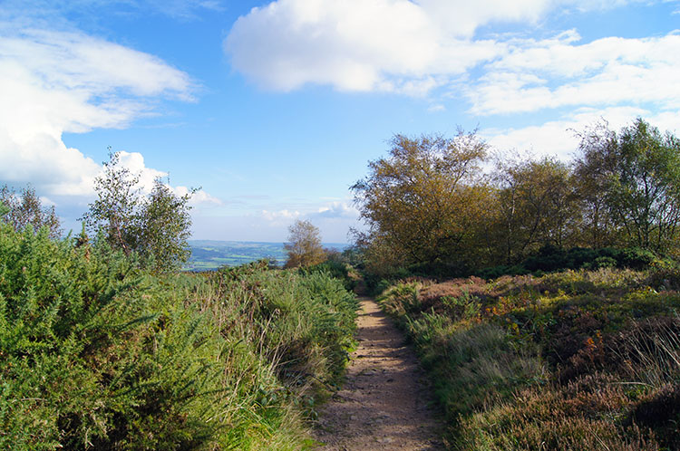 Path to East Chevin Road