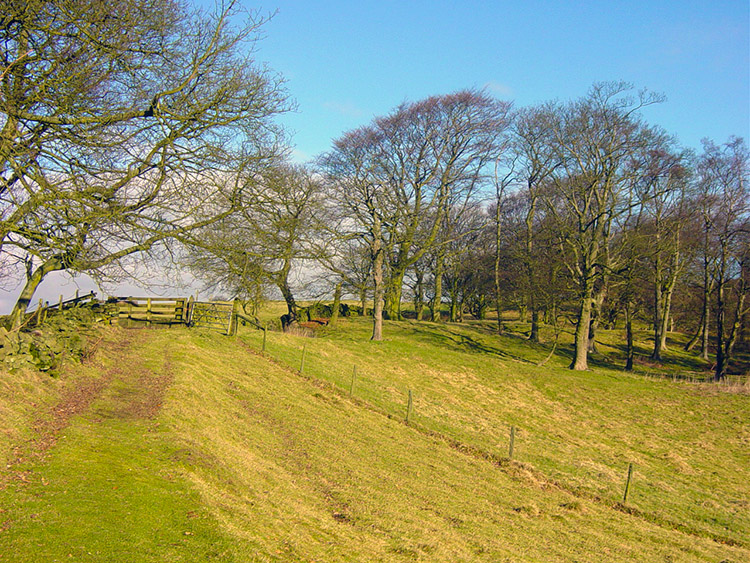 Walking from Brick House to Askwith Moor