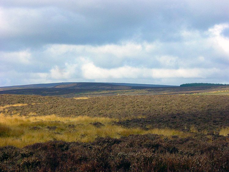 Askwith Moor