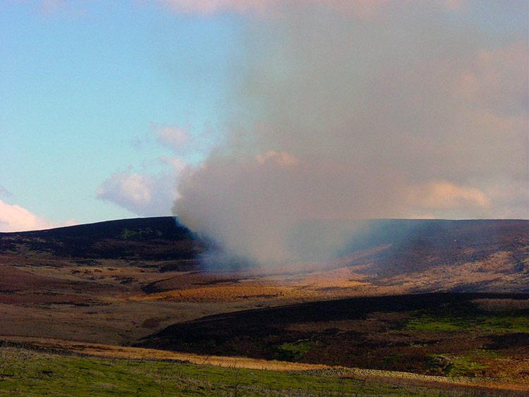 Controlled burning on Denton Moor