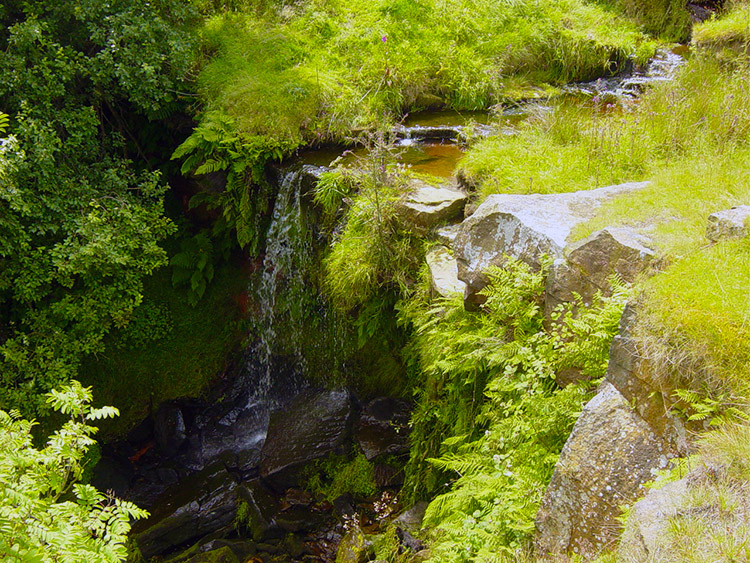 Waterfall near Eller Hill
