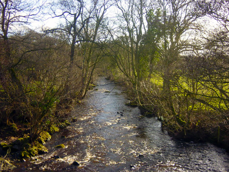 River Washburn