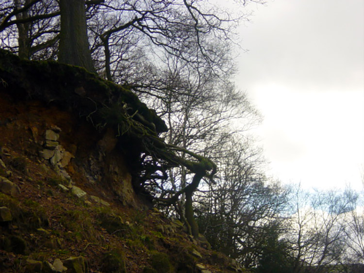 Erosion at Folly Hall