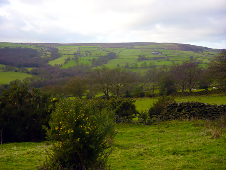 View to Farnley Moor from Sword Point