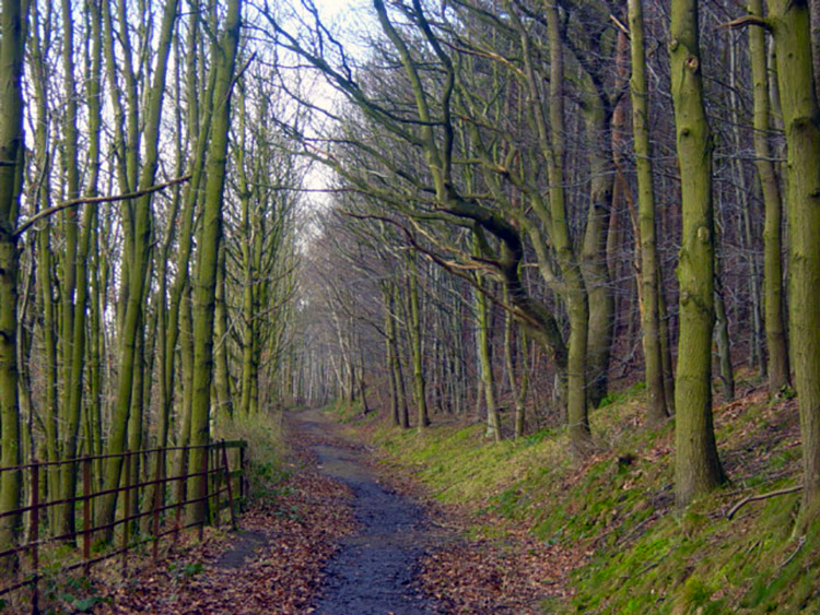 The path alongside Lindley Wood Reservoir