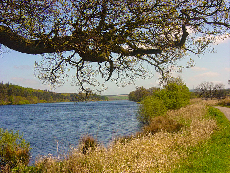 Looking south east across Fewston Reservoir