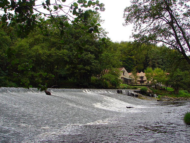 The weir on the River Nidd at Scotton Mill