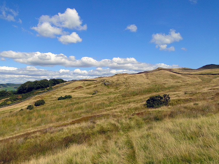 Cawder on the west edge of Skipton Moor