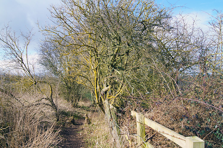 Down to the river on the Ebor Way