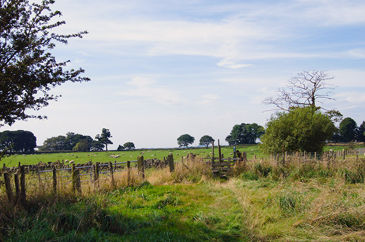 Countryside near East Breary