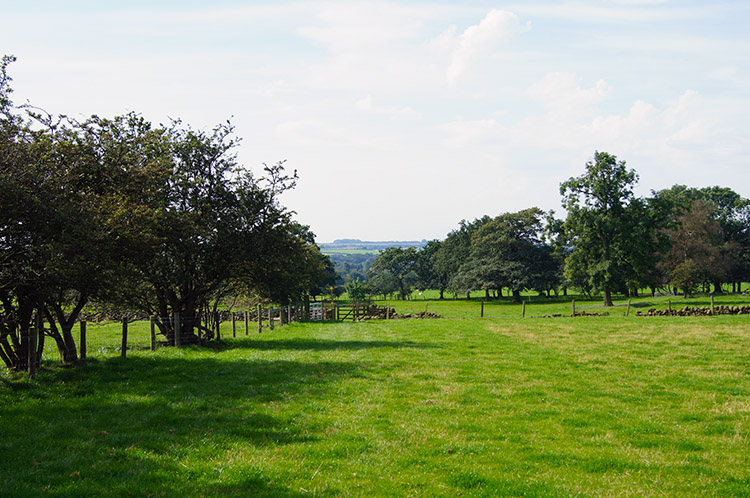 Crossing fields towards Bramhope