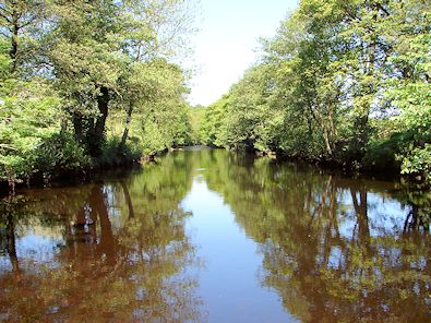 River Nidd near Birstwith