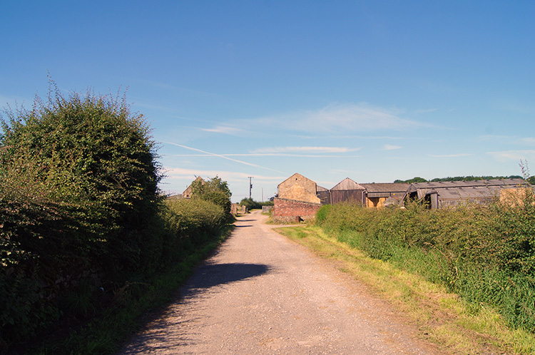The lane leading to Pot Bridge Farm