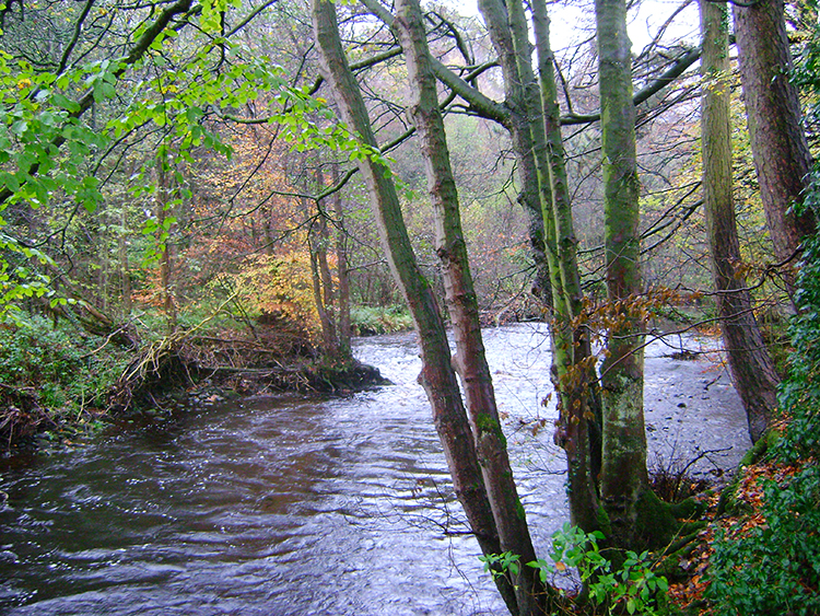 Bend in the River Nidd
