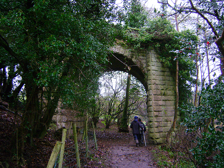 Under the disused railway viaduct