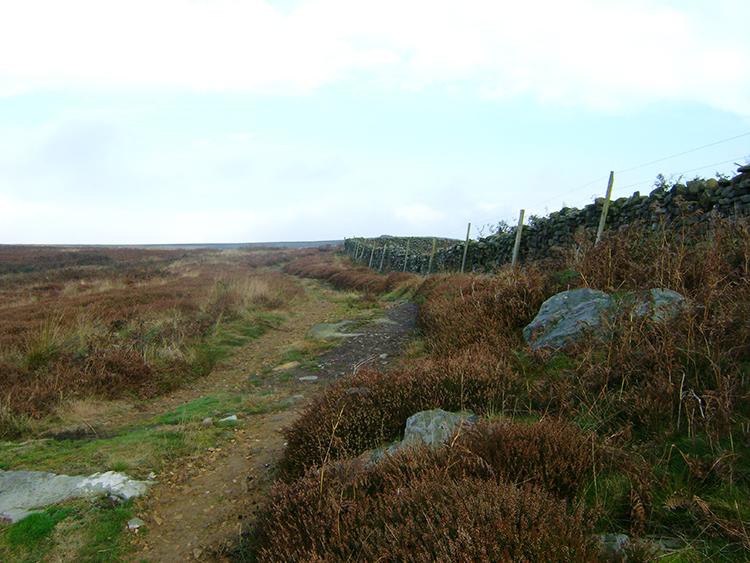 Path to Middleton Moor Enclosures