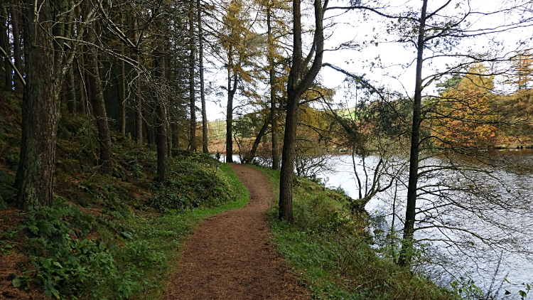 Path alongside Thruscross Reservoir