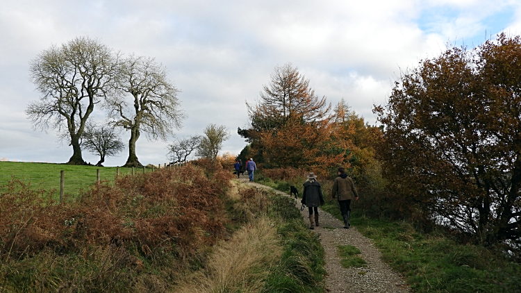 The path to Whitmoor Farm