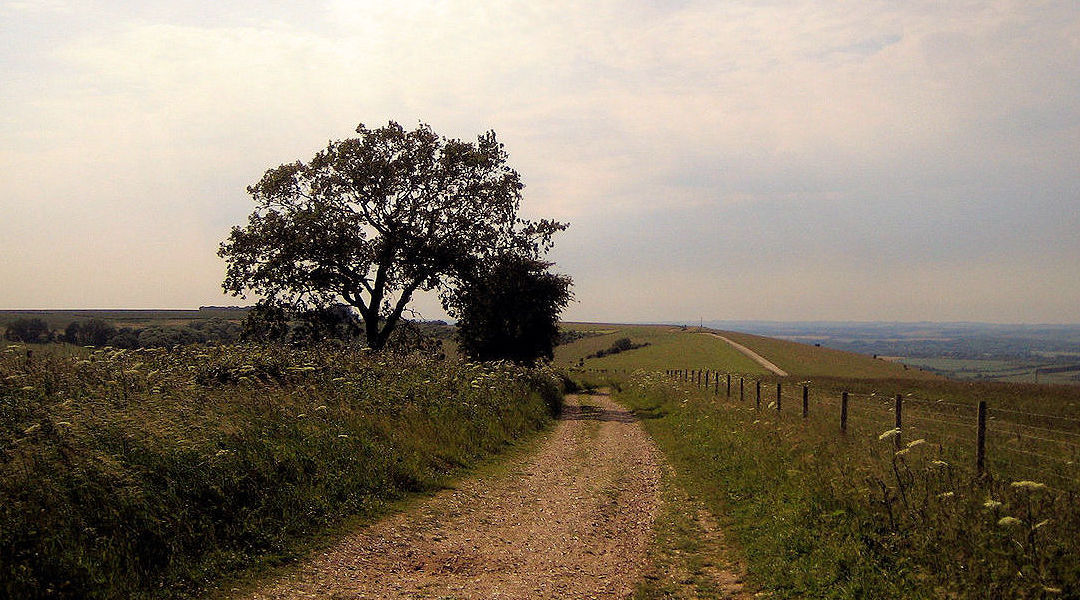 The view from Walbury Hill, looking towards Combe Gibbet