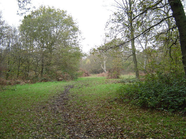 Stanmore Common