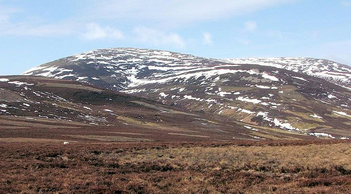 The Cheviot