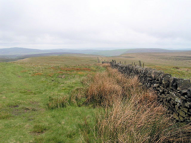 Cheeks Hill summit