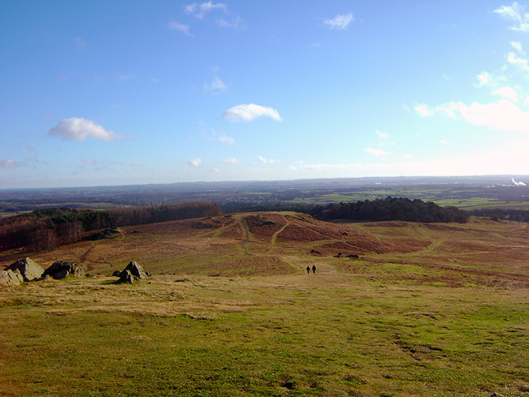 Looking across Bradgate Country Park towards Leicester