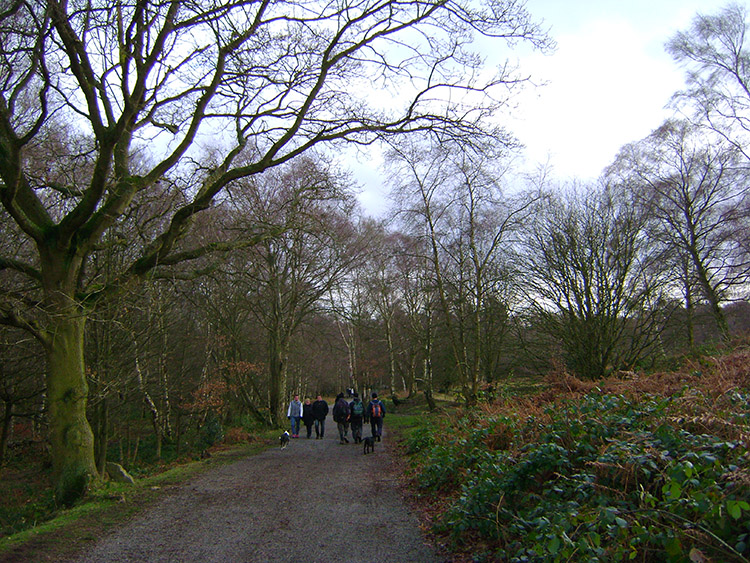 Descending from Beacon Hill