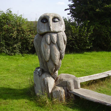 Owl at Dorrington