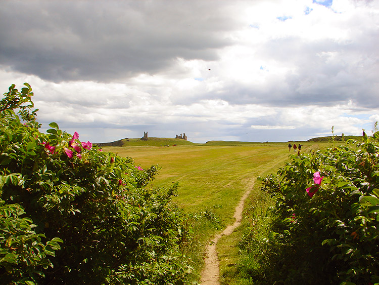 The track to the coast from Embleton