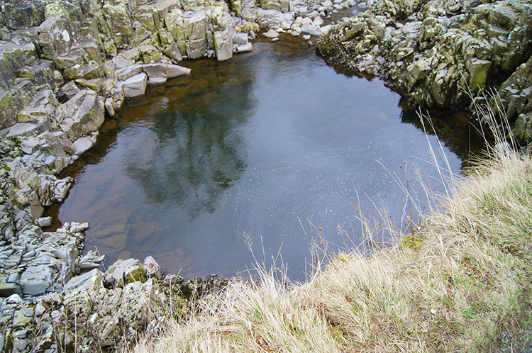 Silent pool isolated from the River Tees