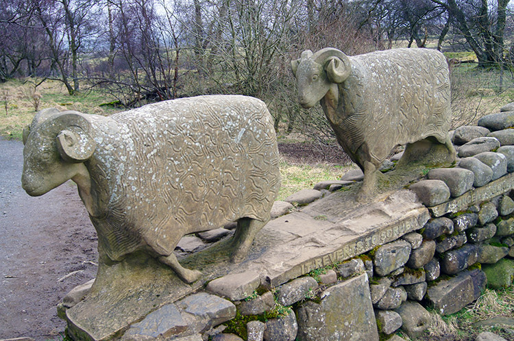 Sheep Sculptures at Low Force