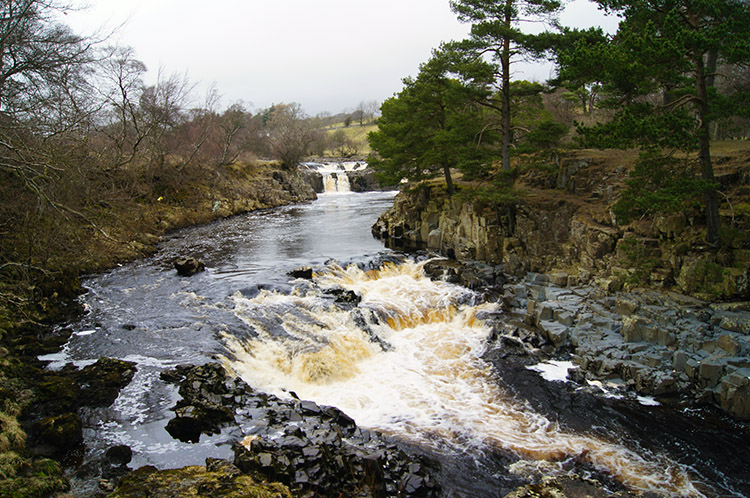 Looking back to Low Force