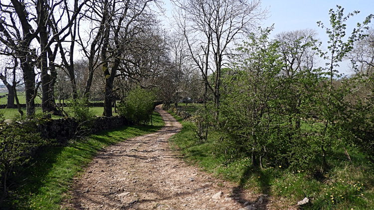 Path leading to Kirkland