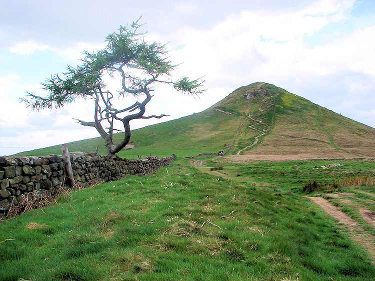 Roseberry Topping seen from Newton Moor